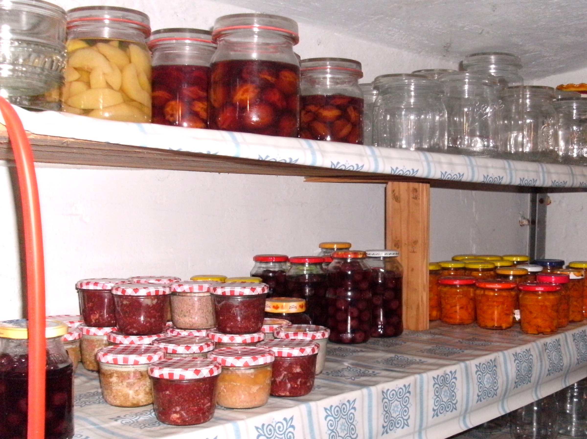 Cellar shelves stocked with jars of preserves